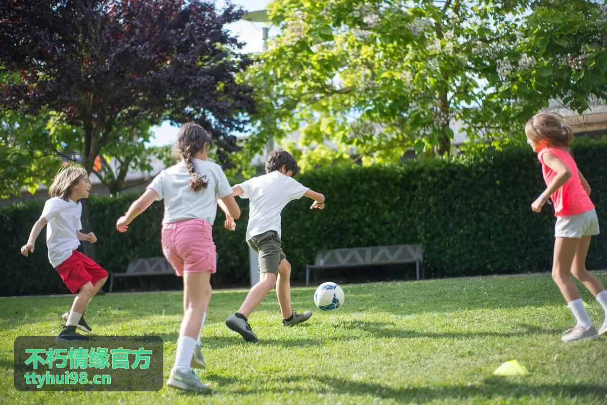 不朽情缘官方实战复盘分析